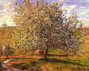 克劳德莫奈 - Tree in Flower near Vetheuil